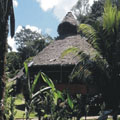 Libertador Tambopata Lodge