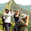 Escorted Birding tours in Manu Escorted Birding tours in Manu