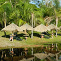 Natural Brazil Tour - Amazon Escape Tour