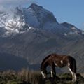 Peru and Ecuador Combined Tour