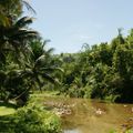 Tambopata Research Center 1