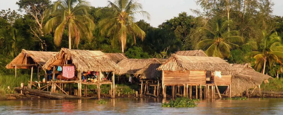 Wild Venezuela