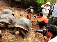 2019 Christmas Peru and Galapagos Tour