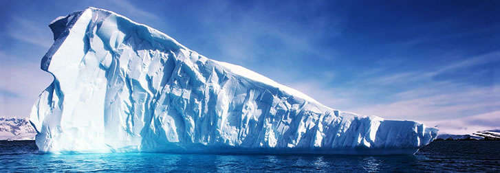 banner antartica