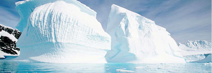 banner antartica